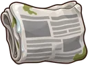 Newspaper